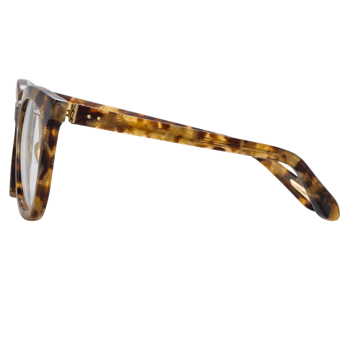 Burton Optical D Frame in Tobacco Tortoiseshell by LINDA FARROW