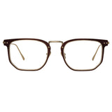 Saul D-Frame Optical Frame in Brown and Light Gold