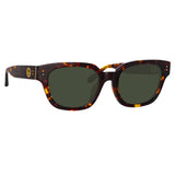 Deni D-Frame Sunglasses in Tortoiseshell