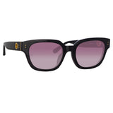 Deni D-Frame Sunglasses in Black and Plum Lenses
