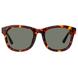 Edson D-Frame Sunglasses in Tortoiseshell